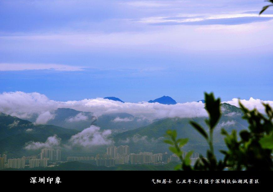 猪场怼怼乐
