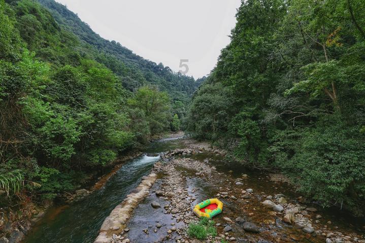 探探猫宝石岛3