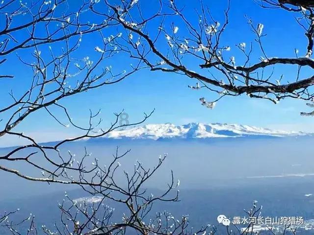 男朋友妈妈要求我换头像怎么办？游戏画面
