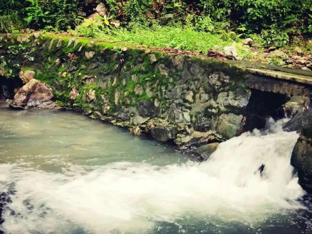 小红帽的冒险之旅