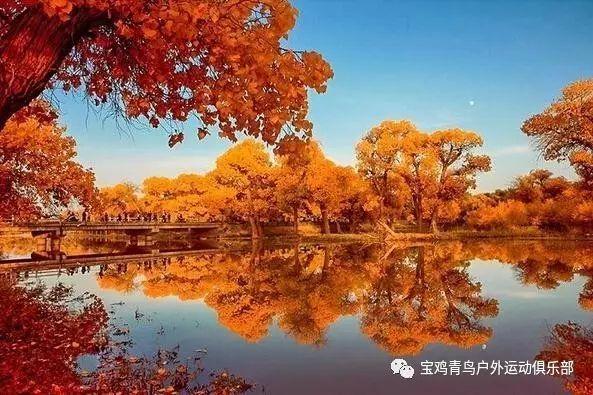 四季养生的重点
