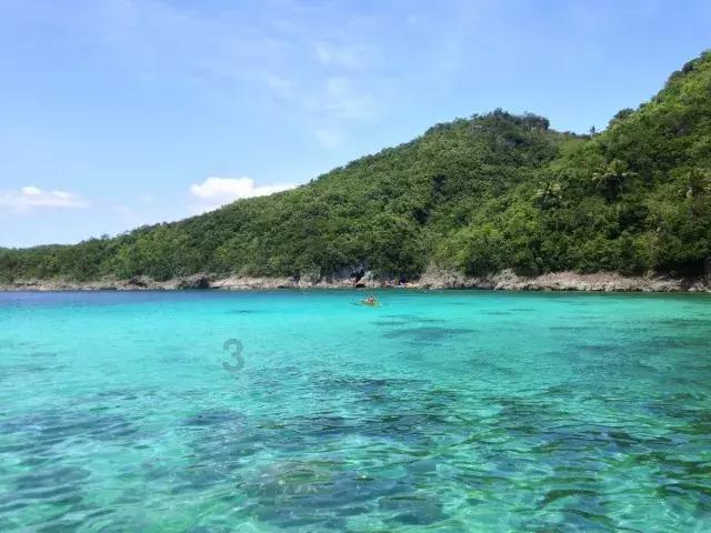 细胞分裂4