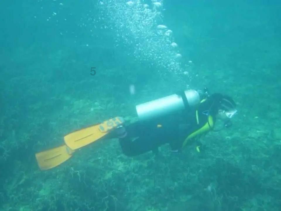 打印机打印彩色照片的问题游戏画面