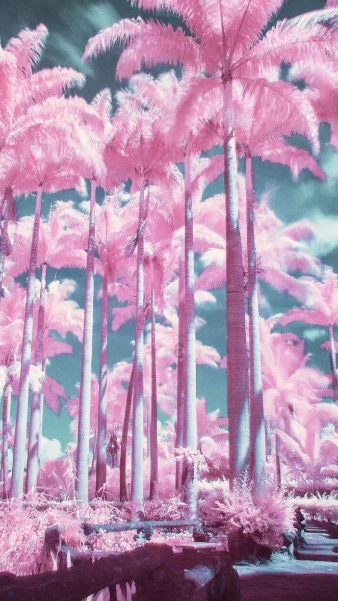 倩女幽魂手游